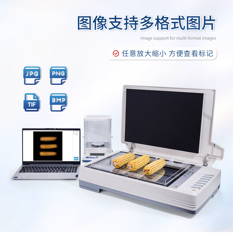 玉米截面分析系统