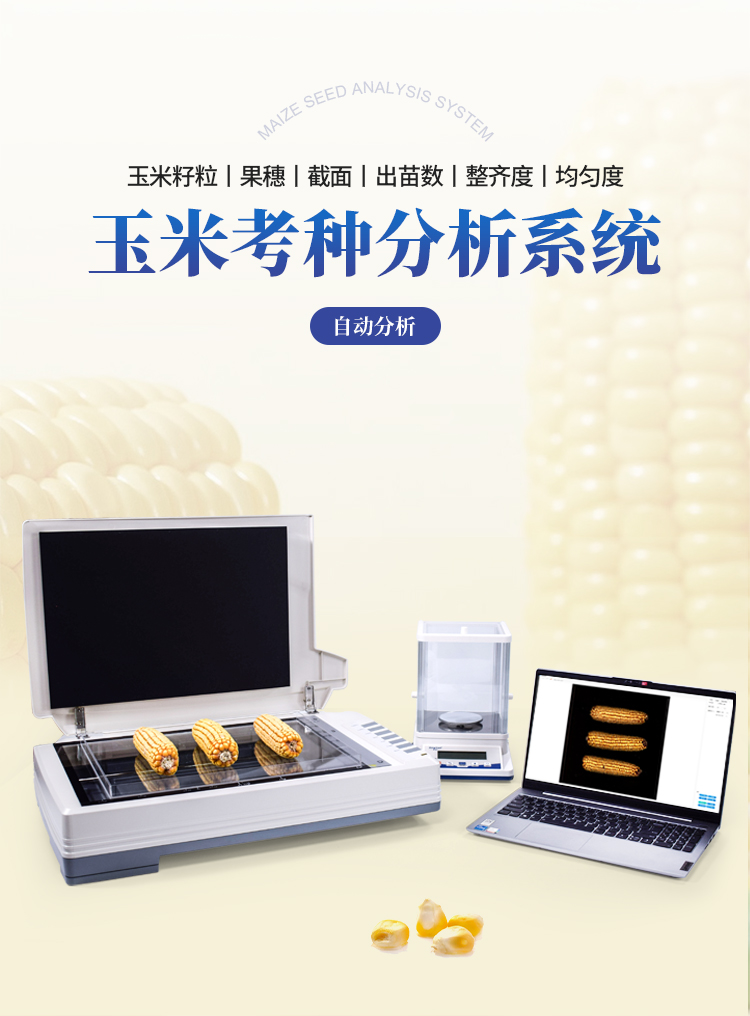玉米整穗分析仪